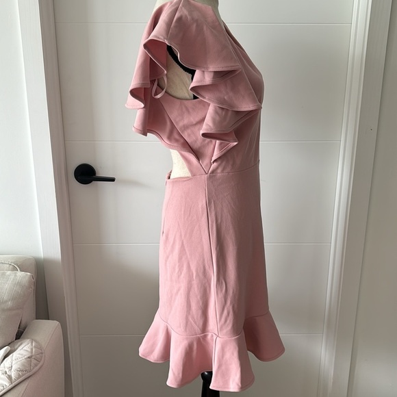 Hello Molly Blush mini dress size L NWT - Picture 3 of 14